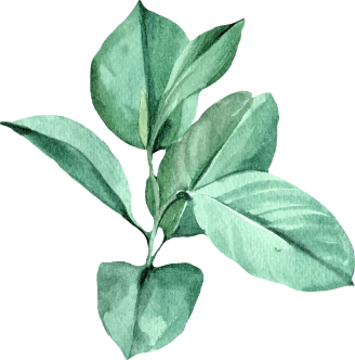 Regular Garden Maintenance