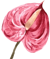 Pruning, Planting & Design