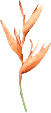 Hard & Soft Landscaping