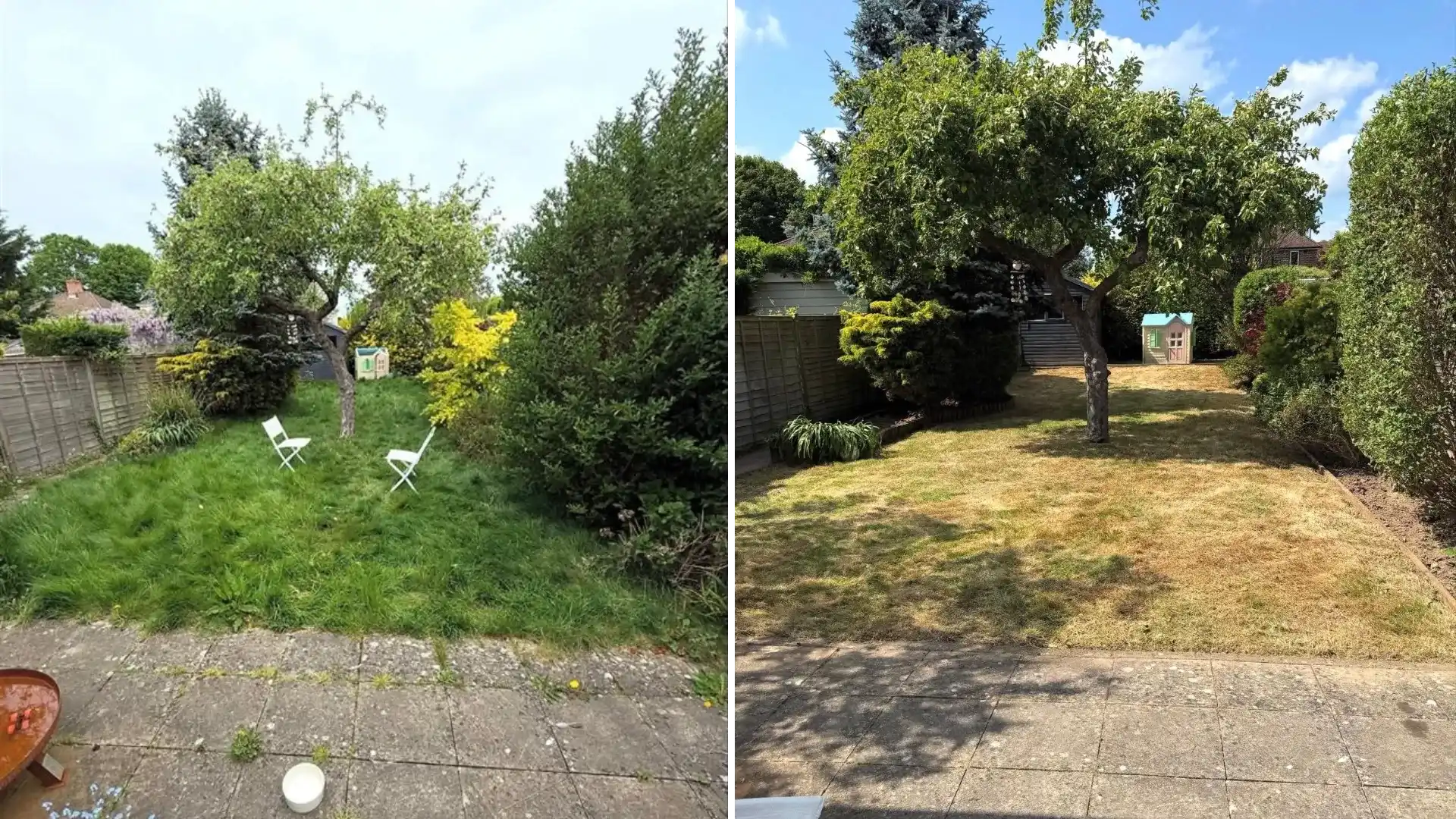 Before & After Garden Work